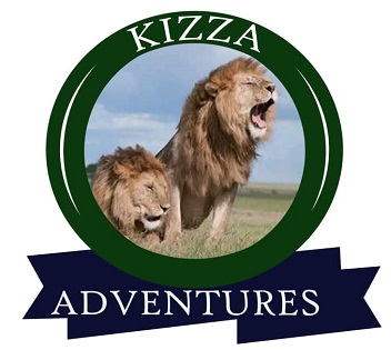 4-Day Tanzania Camping Safari | 4 Days Tanzania Camping Safari | 4 Day Tanzania Camping Safari | Tanzania Camping Safari | Tanzania Camping  | camping safari |  | 2024 | 2025 | Kizza Adventures