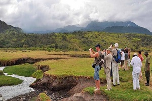 Arusha walking safari | Arusha National park walking safari | walking safari | Arusha city walking safari | Arusha national park half day walk | walking tour in Arusha National Park | Arusha National Park walking day tours | Arusha National Park guided walk  | 2024 |2025 | Kizza Adventures