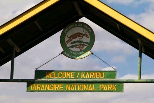 6 days safari to Tarangire-Serengeti-Ngorongoro and lake Manyara-Kizza Adventures