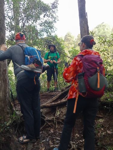 Shira plateau day hike, Kilimanjaro shira plateau day hike, 1-day kilimanjaro day hike, Shira plateau Kilimanjaro day hike 