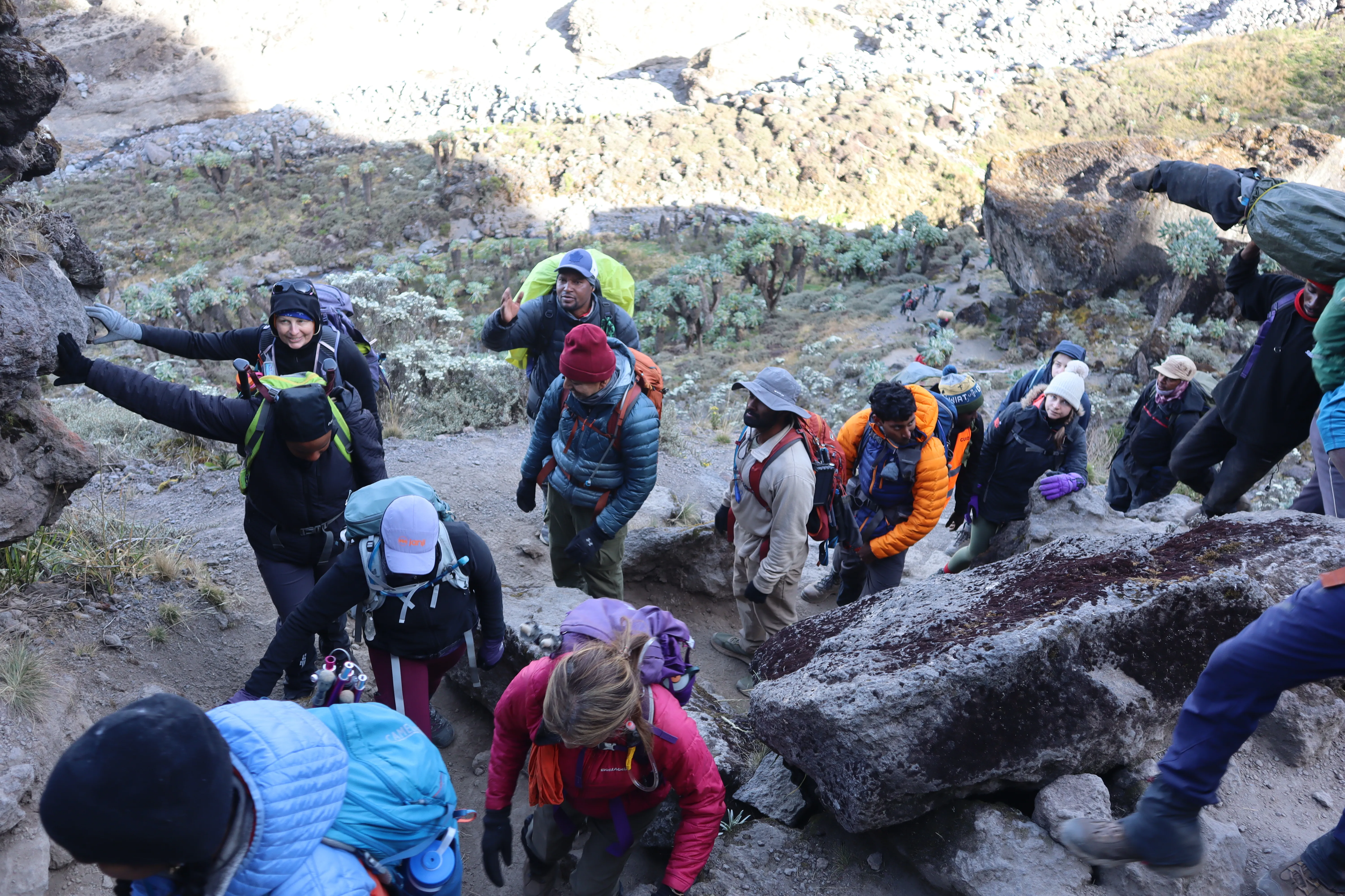 8 Days Kilimanjaro Group Trek