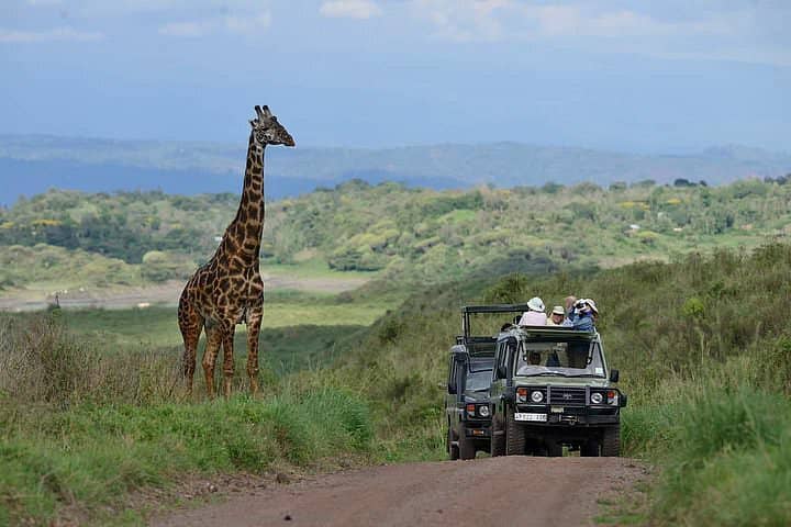 Tanzania group safari | Tanzania group joining safari | Tanzania group joining safaris | Tanzania sharing safari | tanzania group tours | 6 days Tanzania group joining safari | group joining safari | group safari | 2023 | 2024 | 2025 | Kizza Adventures