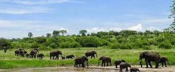 2-day serengeti safari from Mwanza | 2 days Serengeti safari from Mwanza | Kizza Adventures